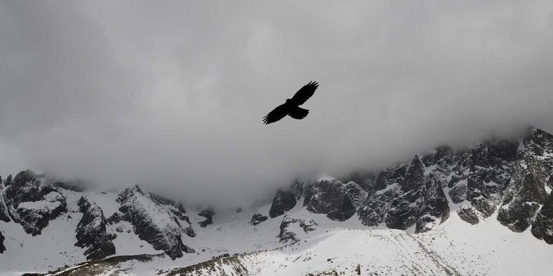 扬州新力亚43：以精密工业零部件驱动自动化设备新未来