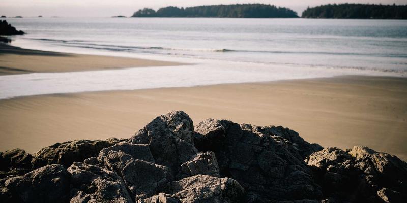 扬州新力亚89：传动系统在工业自动化设备中的创新应用