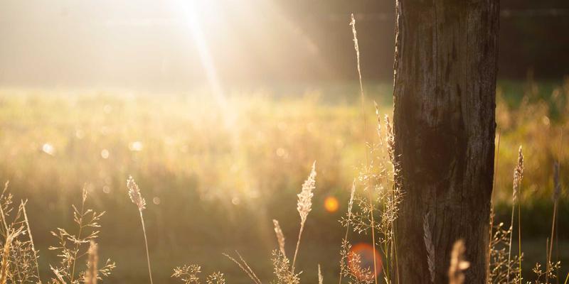 扬州新力亚9：工业自动化设备与机电产品的创新标杆