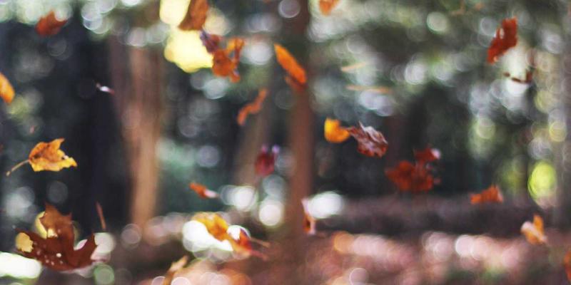 扬州新力亚：以创新传动系统与自动化设备，驱动绿色智造未来