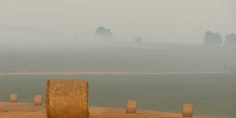 扬州新力亚：以振动与噪声控制技术为核心，打造自动化设备平稳运行的工业零部件解决方案