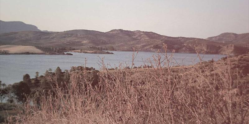 扬州新力亚：以精密工业零部件驱动产业升级的成功合作之道