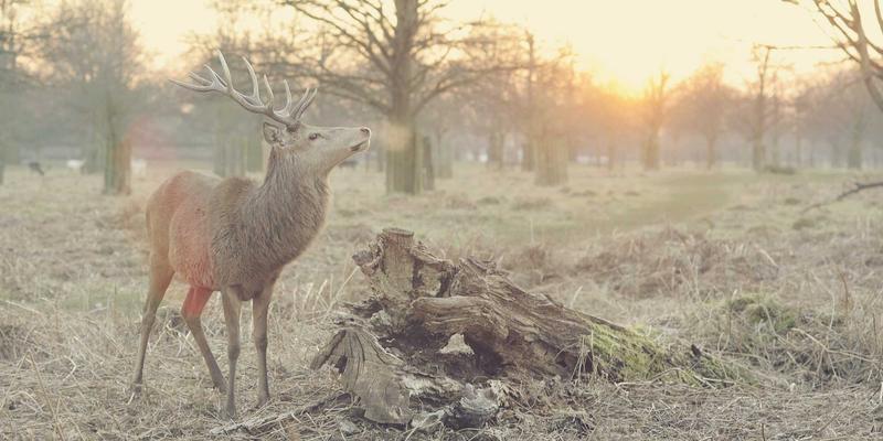 扬州新力亚：以耐腐蚀、易清洁传动技术，重塑食品包装自动化设备新标准