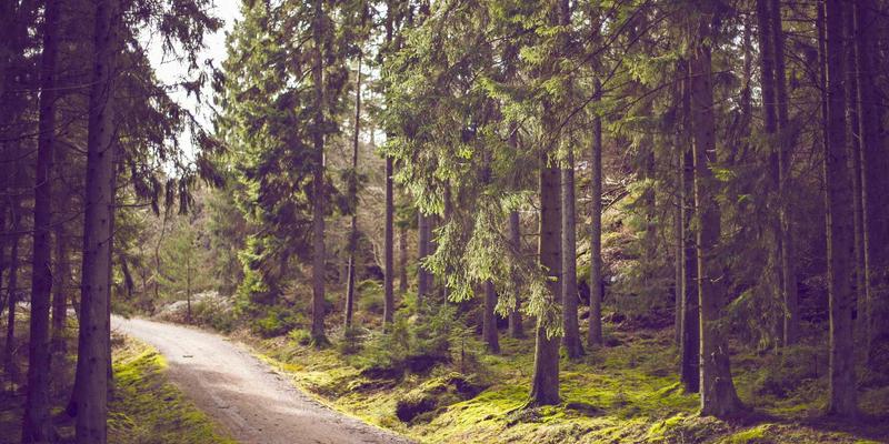 扬州新力亚：以高洁净度精密传动组件，赋能半导体设备国产化进程