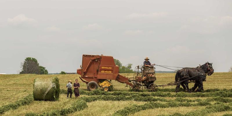 扬州新力亚传动系统的行业竞争格局与差异化突围策略