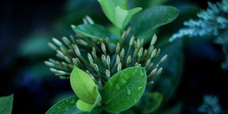 扬州新力亚智能工厂：数字孪生技术如何驱动自动化设备与工业产品效能跃升