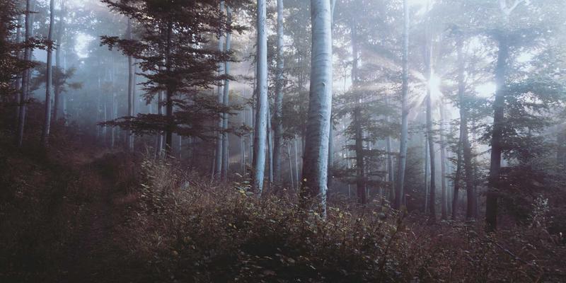 精密驱动未来：扬州新力亚如何为新能源电池生产线提供卓越的传动与定位解决方案