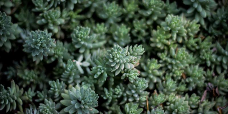 精度革命：扬州新力亚高同步性传动方案如何重塑光伏电池片串焊机效能